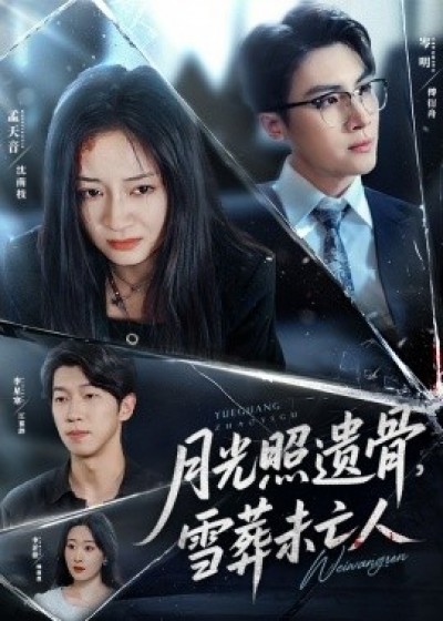 《月光照遗骨，雪葬未亡人》免费在线观看短剧高清全集完整版