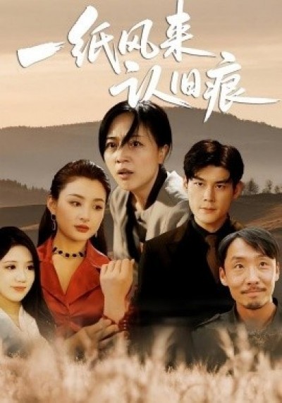 《一纸风来认旧痕》免费在线观看短剧高清全集完整版