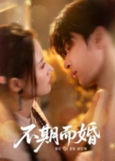 《不期而婚》免费在线观看短剧高清全集完整版