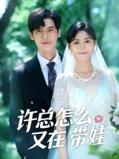 《许总怎么又在带娃》免费在线观看短剧高清全集完整版