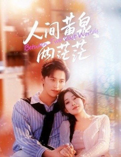 《人间黄泉两茫茫》免费在线观看短剧高清全集完整版