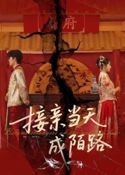 《接亲当天成陌路》免费在线观看短剧高清全集完整版