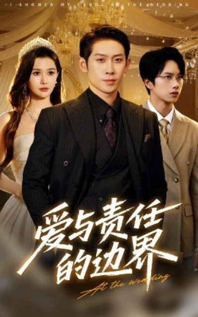 《爱与责任的边界》免费在线观看短剧高清全集完整版