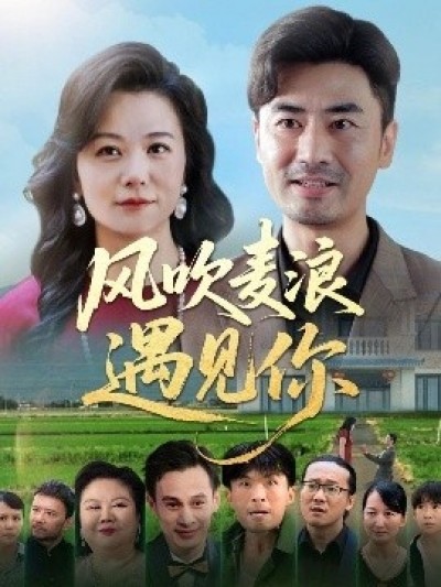 《风吹麦浪遇见你》免费在线观看短剧高清全集完整版