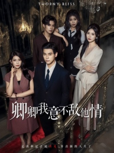《卿卿我意不敌他情》免费在线观看短剧高清全集完整版