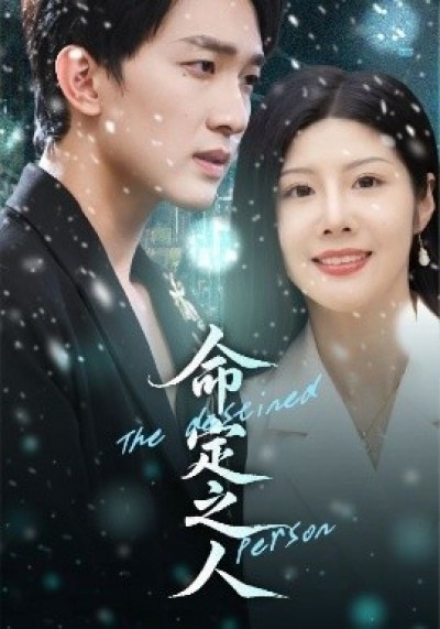 《命定之人》免费在线观看短剧高清全集完整版