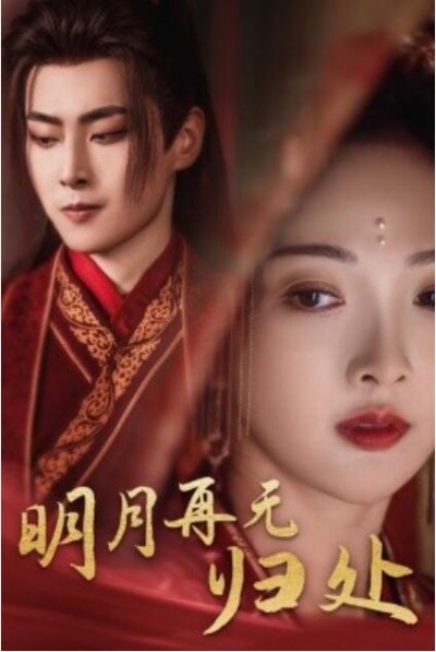 《明月再无归处》短剧高清全集免费在线观看