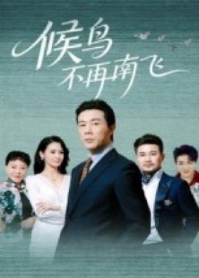 《候鸟不再南飞》免费在线观看短剧高清全集完整版