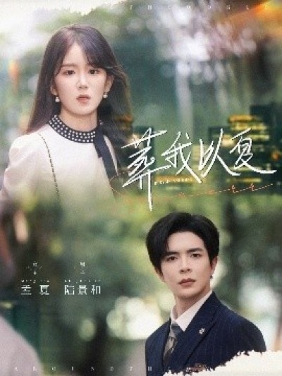 《葬我以夏》免费在线观看短剧高清全集完整版