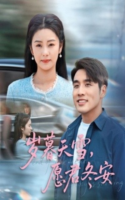 《岁暮天雪，愿君冬安》免费在线观看短剧高清全集完整版