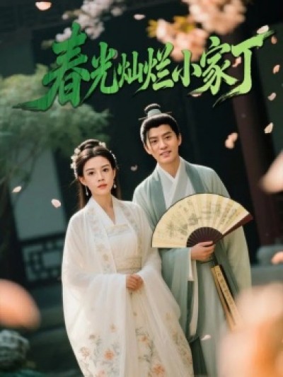 《春光灿烂小家丁》免费在线观看短剧高清全集完整版
