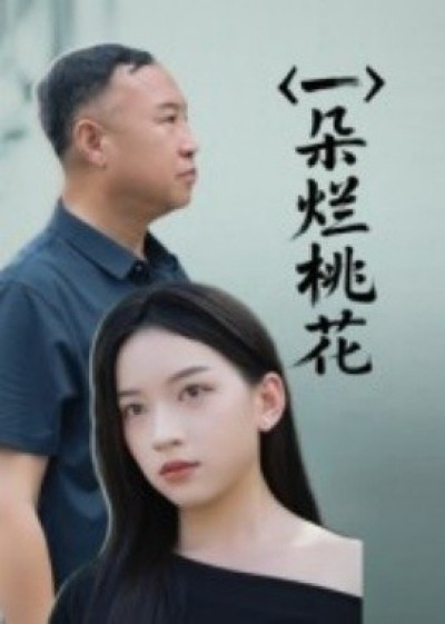《一朵烂桃花》免费在线观看短剧高清全集完整版