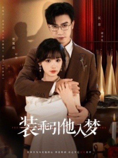 《装乖引他入梦》免费在线观看短剧高清全集完整版