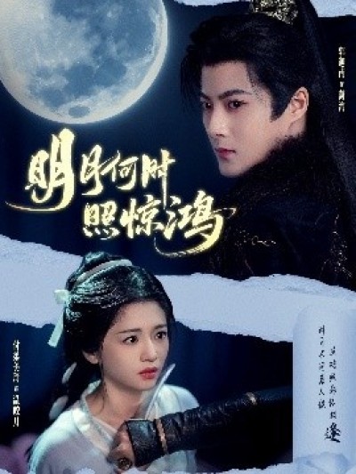 《明月何时照惊鸿》免费在线观看短剧高清全集完整版