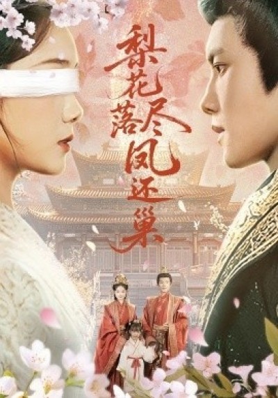 《梨花落尽凤还巢》免费在线观看短剧高清全集完整版