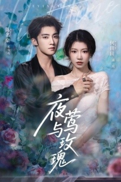 《夜莺与玫瑰》免费在线观看短剧高清全集完整版