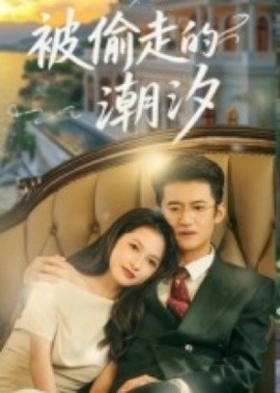 《被偷走的潮汐》免费在线观看短剧高清全集完整版