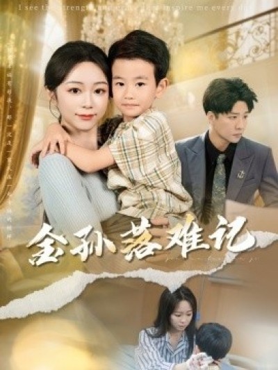 《金孙落难记》免费在线观看短剧高清全集完整版