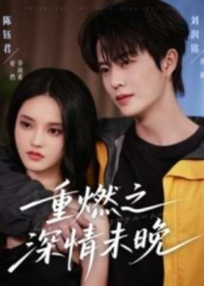 《重燃之深情未晚》免费在线观看短剧高清全集完整版