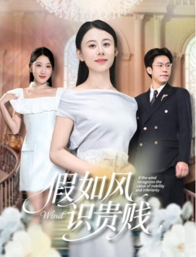 《假如风识贵贱》免费在线观看短剧高清全集完整版