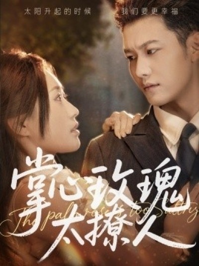 《掌心玫瑰太撩人》免费在线观看短剧高清全集完整版