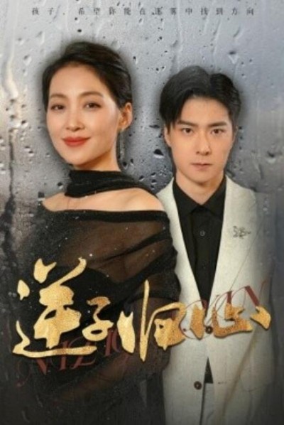 《逆子归心》短剧高清全集免费在线观看