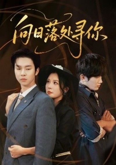 《向日落处寻你》免费在线观看短剧高清全集完整版