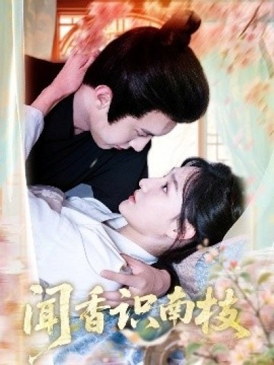 《闻香识南枝》免费在线观看短剧高清全集完整版