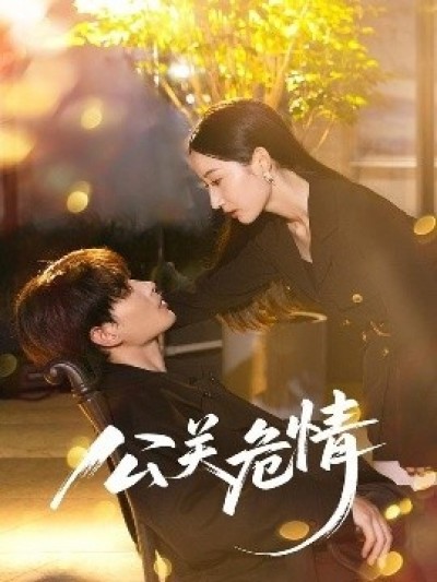 《公关危情》免费在线观看短剧高清全集完整版