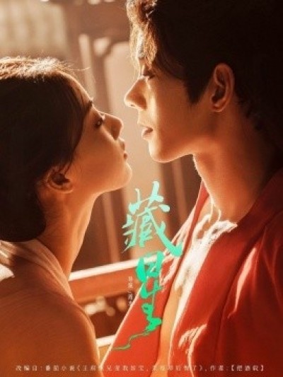 《藏星》免费在线观看短剧高清全集完整版