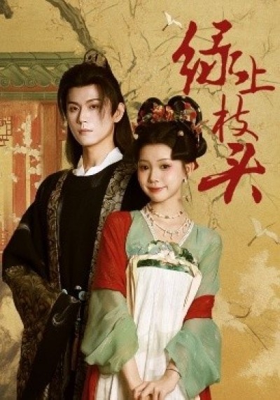 《绿上枝头》免费在线观看短剧高清全集完整版