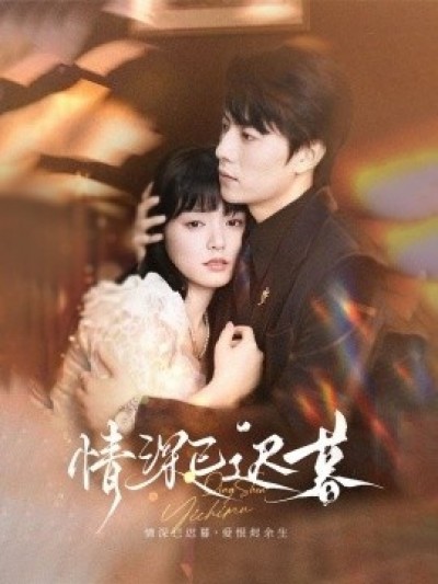 《情深已迟暮》免费在线观看短剧高清全集完整版
