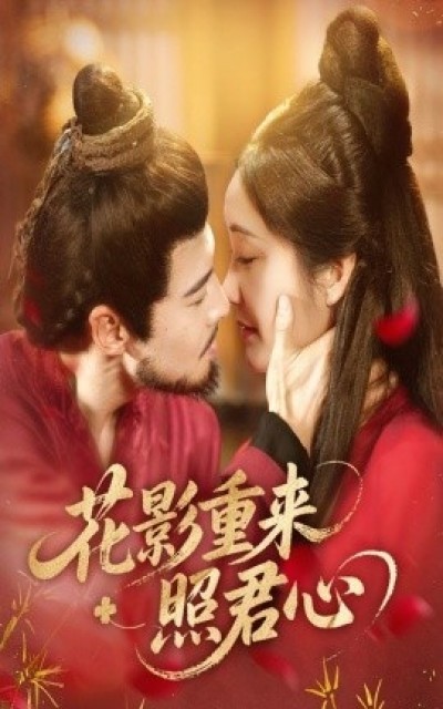 《花影重来照君心》免费在线观看短剧高清全集完整版