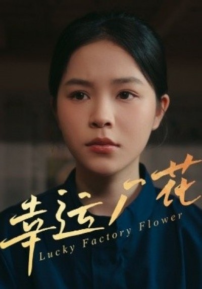 《幸运厂花》免费在线观看短剧高清全集完整版