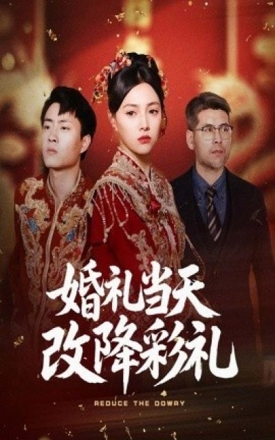 《婚礼当天改降彩礼》免费在线观看短剧高清全集完整版