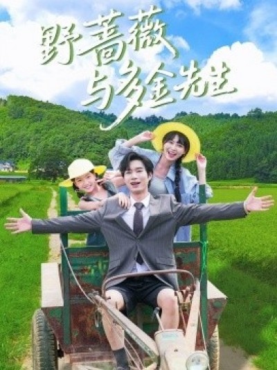 《野蔷薇与多金先生》免费在线观看短剧高清全集完整版