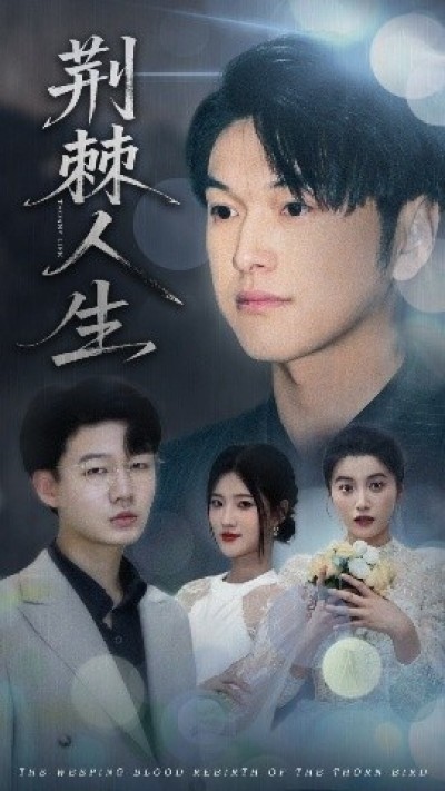 《荆棘人生》免费在线观看短剧高清全集完整版