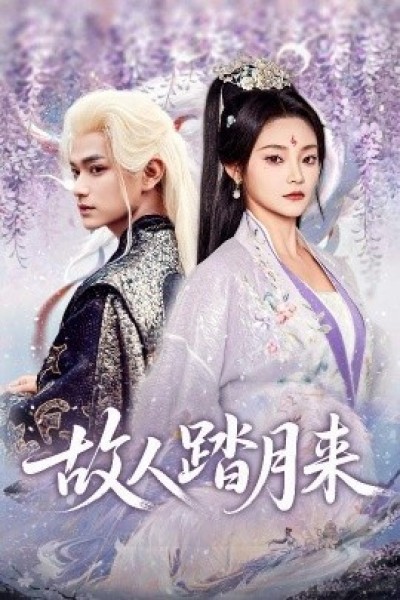 《故人踏月来》免费在线观看短剧高清全集完整版