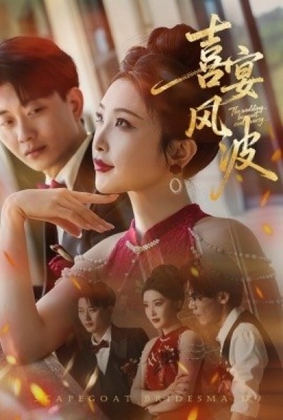 《喜宴风波》免费在线观看短剧高清全集完整版