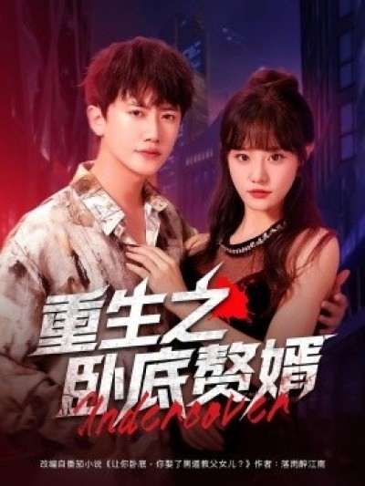 《重生之卧底赘婿》免费在线观看短剧高清全集完整版