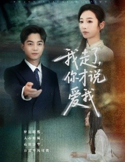 《我走了，你才说爱我》免费在线观看短剧高清全集完整版