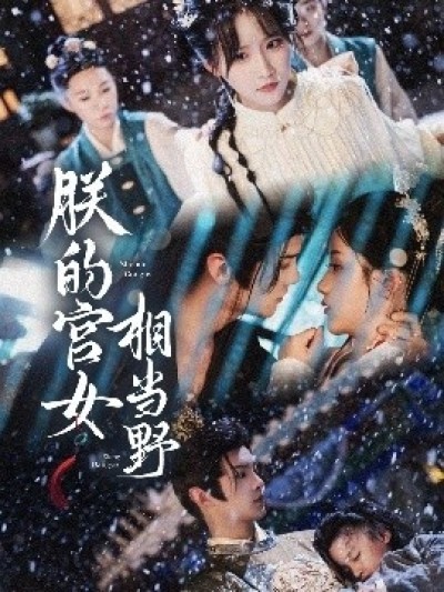《朕的宫女相当野》免费在线观看短剧高清全集完整版