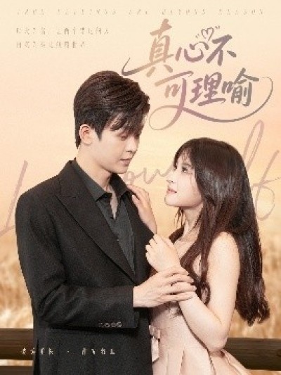 《真心不可理喻》免费在线观看短剧高清全集完整版