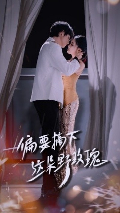 《偏要摘下这朵野玫瑰》免费在线观看短剧高清全集完整版