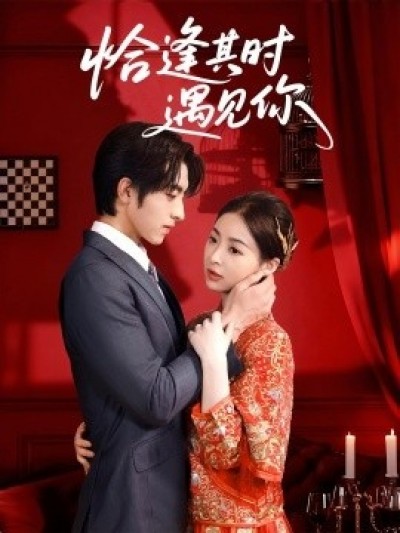 《恰逢其时遇见你》免费在线观看短剧高清全集完整版
