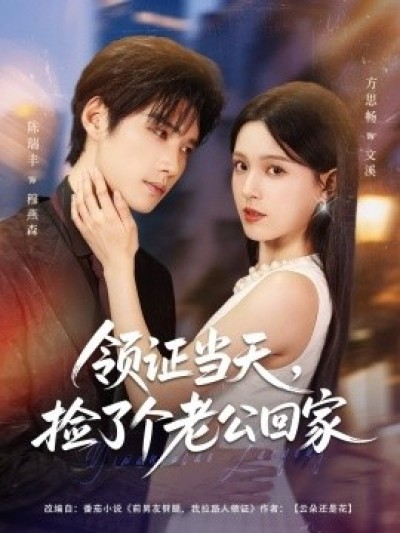 《领证当天，捡了个老公回家》免费在线观看短剧高清全集完整版