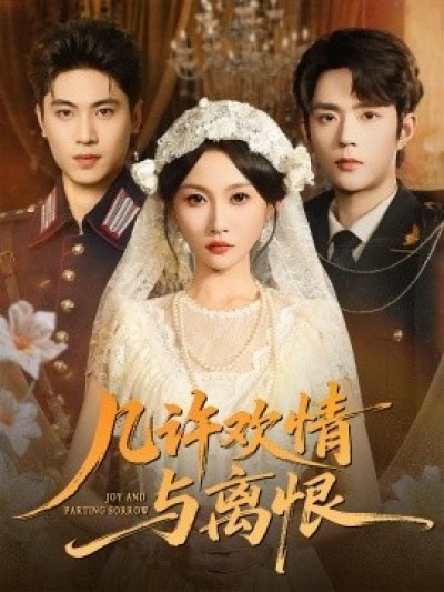 《几许欢情与离恨》免费在线观看短剧高清全集完整版