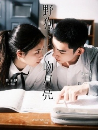 《野狗吻月亮》免费在线观看短剧高清全集完整版