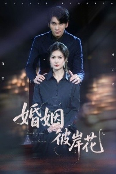 《婚姻彼岸花》免费在线观看短剧高清全集完整版