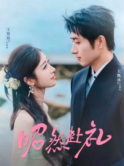 《昭然赴礼》免费在线观看短剧高清全集完整版